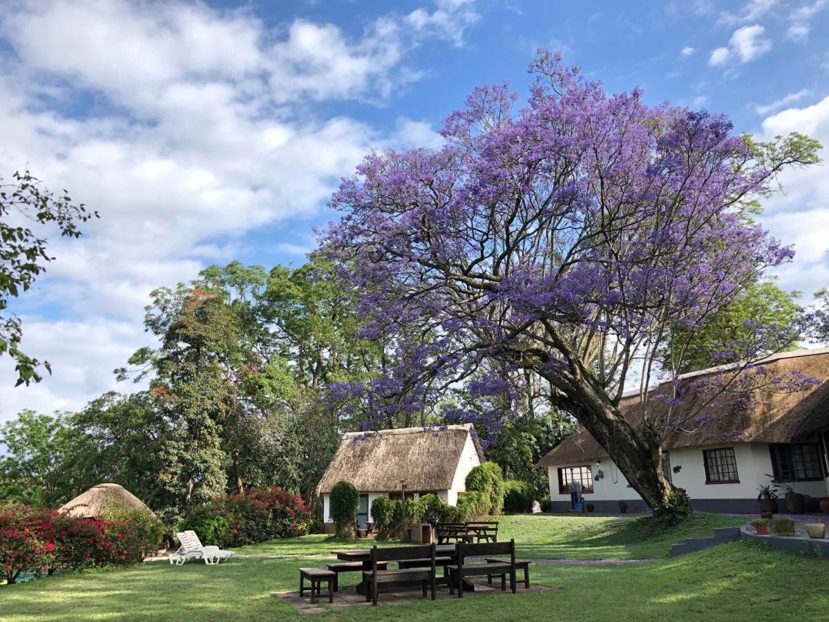 Thokozani Lodge White River Ngoại thất bức ảnh