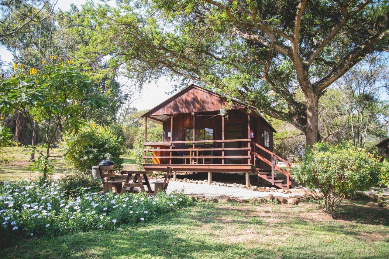 Thokozani Lodge White River Ngoại thất bức ảnh