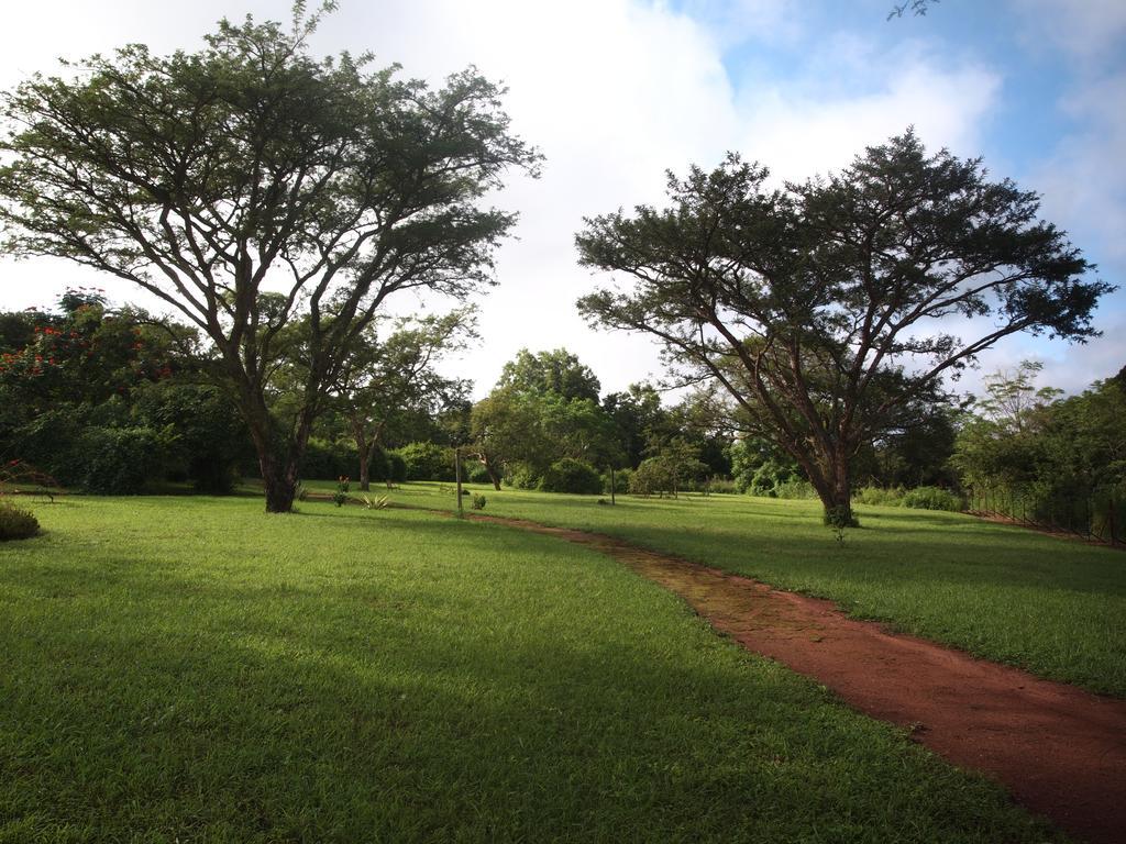Thokozani Lodge White River Ngoại thất bức ảnh